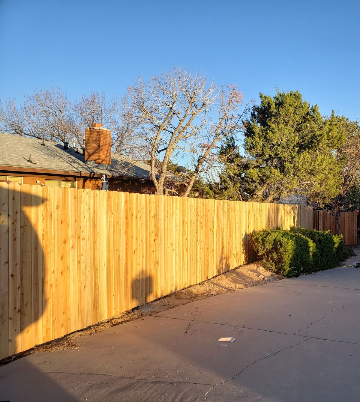 Cedar privacy fence golden hour