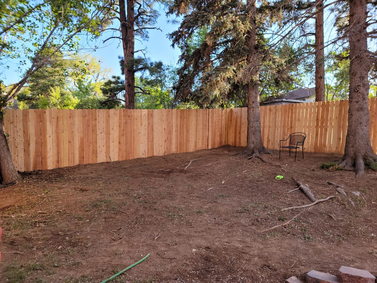 Cedar privacy fence through pines